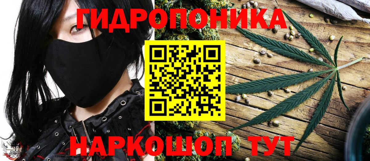 Шишки марихуана конопля Ахтубинск